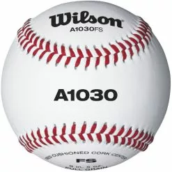 Wilson Champion Series WTA1030BFS Game And Practice Baseball